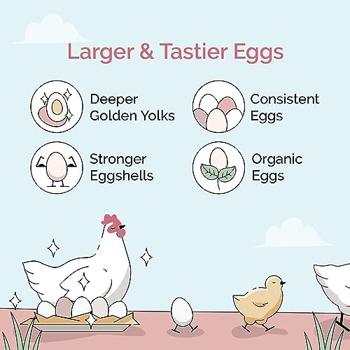 Mile Four Organic Chicken Feed, Layer Whole Grain, Non-GMO, US Grown 2 lbs