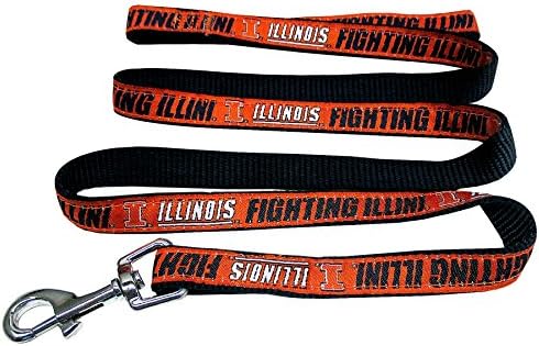 NCAA PET String, Medium, Illinois Fighting Illini,Dog String, Shiny & Colorful String for Dogs & Cats Licensed by The NCAA, Old Version
