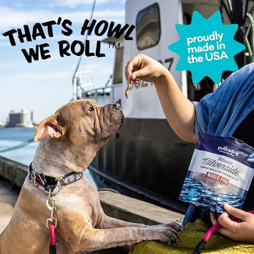 Polkadog Atlantic Silverside Whole Fish Dog Treats, Single Ingredient 2.5oz
