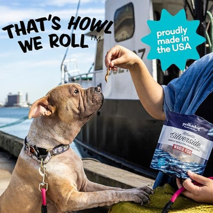 Polkadog Atlantic Silverside Whole Fish Dog Treats, Single Ingredient 2.5oz