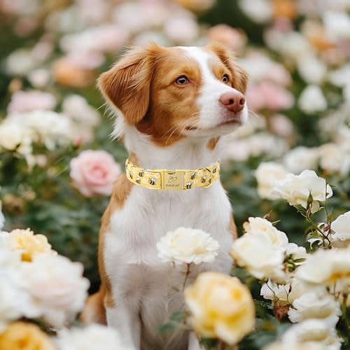 Yellow Bee Dog Collar, Cute Spring/Summer Cartoon Boy Girl Dog Collars, Adjustable Heavy Duty Male Female Dogs Collar for Small Medium Large Dogs with Metal Buckle S