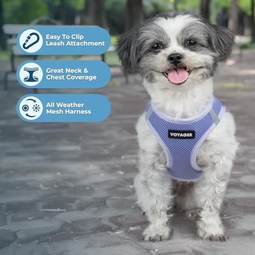 Best Pet Supplies - All Weather Mesh/Plush, Reflective, No Pull Harness for Small, Medium Dogs, Cats - Secure with Hook & Loop Fastener, Buckle, Double D-Rings - Lavender, L