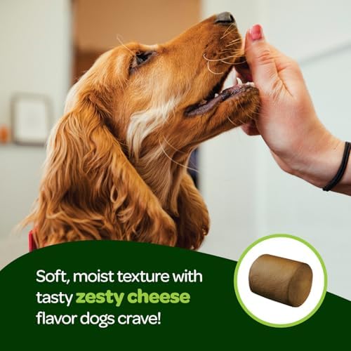 Probiotic Chews for Dogs Gut Health | Tasty Pre and Probiotics for Dogs Digestive Health with Pumpkin Dog Probiotics and Digestive Enzymes | NASC Certified & Made in The USA | 60 Chews