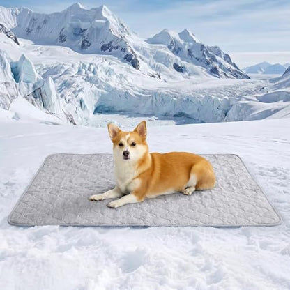 Cozy Bliss Deluxe Leakproof Cooling Blanket for Small Dogs Q-Max 0.5, Soft & Durable Washable Pet Cooling Mat for Hot Weather, Livingroom, Pet Throw & Couch Protector for Cats, Silver Grey, 25"x35"