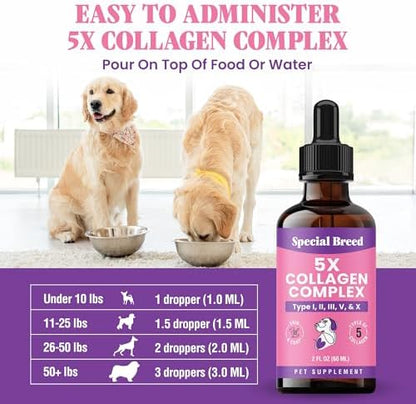 Premium Collagen for Dogs - Liquid Support for Joints, Skin, Coat, Bone, Immune System & HIPS - Collagen Supplement - Made in USA - 2oz