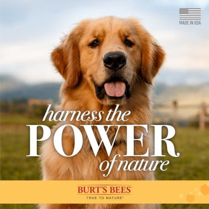 Burt's Bees for Pets Itch Soothing Dog Spray, Honeysuckle Aloe, 10 Oz, 6-Pk