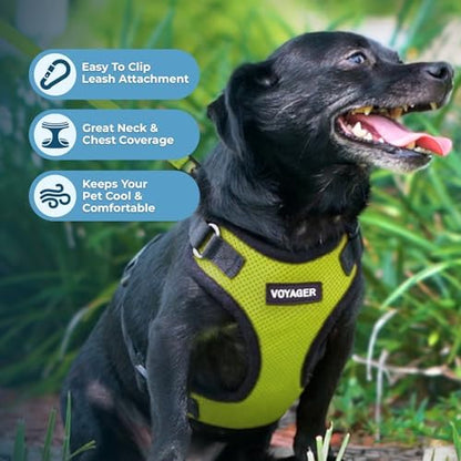 Voyager Step-in Lock Dog Harness - Lime Green/Black Trim, Large