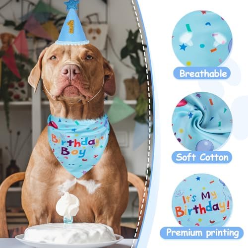 Dog Boy Birthday Party Hat,Dog Birthday Party Supplies,Dog Bandana