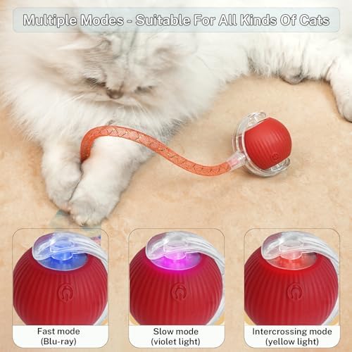 Smart Cat Ball Toy, Interactive & Rechargeable for Daily Play
