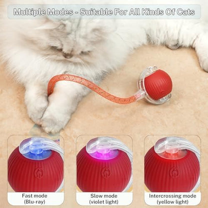 Smart Cat Ball Toy, Interactive & Rechargeable for Daily Play