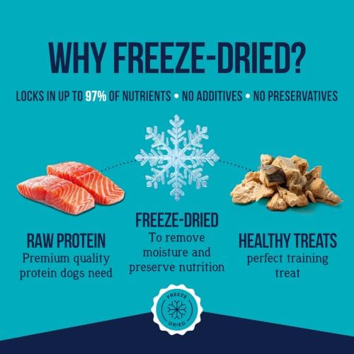 Stewart Freeze Dried Dog Treats, 100% Wild Salmon, 9.5 oz Tub
