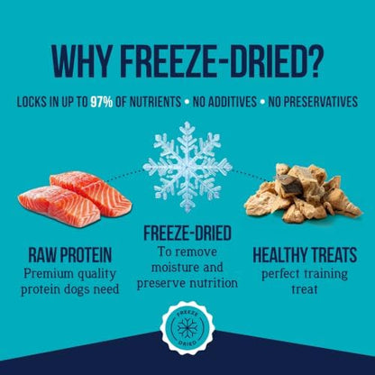 Stewart Freeze Dried Dog Treats, 100% Wild Salmon, 9.5 oz Tub