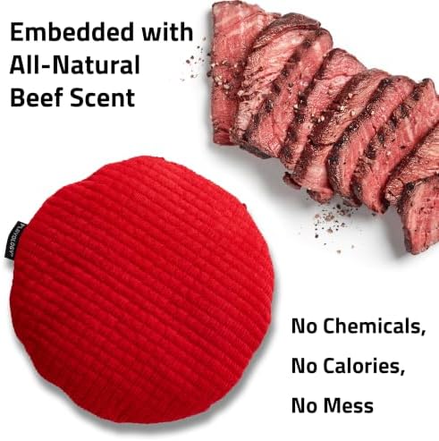 Playology Plush Crinkle Disc Dog Toy - Beef Scented - Jumbo Disc