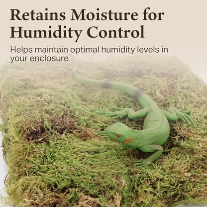 Deco Moss for Terrarium Habitats, Medium 1-Pack