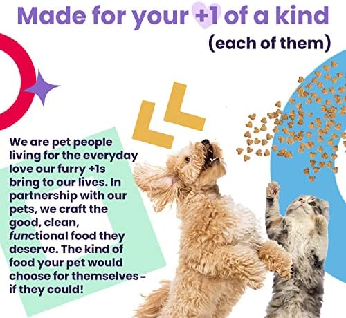 I AND LOVE AND YOU Nice Jerky Bites - Chicken + Salmon - Grain Free, Real Beef, Training Treat, Chewy Dog Treats, Filler Free, 4oz (Pack of 2)