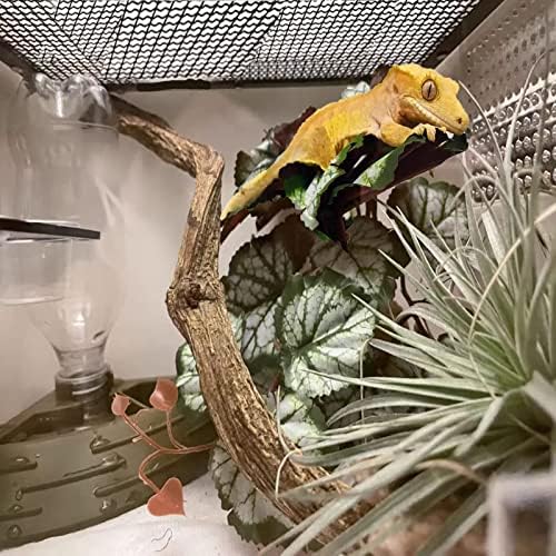 Woyrise Artificial Reptile Plants for Terrarium, Habitat Decor, Fake Plant