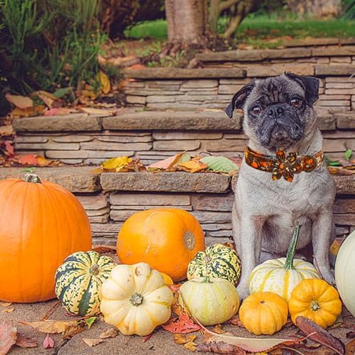 Elegant little tail Fall Dog Collar, Halloween Pet Collars with Bow Cute Pumpkin Print Puppy Collar Female or Male Cotton Adjustable Collars for Small Medium Large Dogs