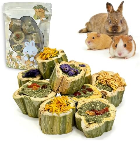 BNOSDM Hamster Chew Treats Papaya Guinea Pig Toys Natural Rat Food(3.5oz)