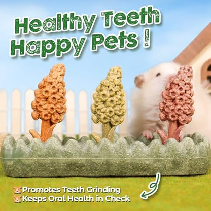 TEEWY 4PCS Guinea Pig Chew Toys, Prevent Teeth Overgrowth, Natural Timothy Grass & Vegetables, Hamster Toys, Guinea Pig Toys, Chinchilla Toys, Grass Patch & Hyacinth