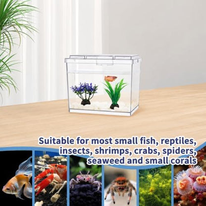 MoonOrange Mini Betta Fish Tank, Small Fish Bowl for Temporary Space, 0.2 Gallon Stackable Cube Tank with Artificial Plants and Gravels for Small Fish, Insect, Shrimp, Crab, Spider. (Pack-1)