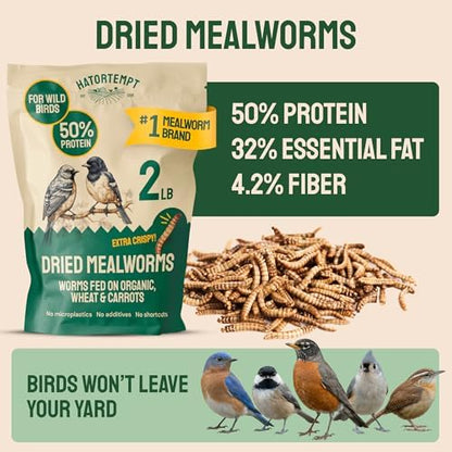 Hatortempt 2lb Dried Mealworms for Wild Birds & Chickens, Wild Bird Food