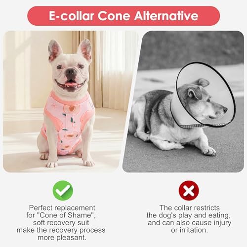 cyeollo Dog Surgery Recovery Suit, Spay Neuter Onesie for Female Male Dogs