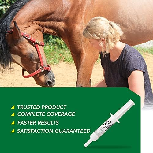 Ramard Total Gut Health Equine Digestive Support - Equine Gut Health Supplement Probiotics for Horses, Healthy Gut Vitamins, Gastric Relief, Optimum Digestive Health for Horses 1oz, 1-Pack