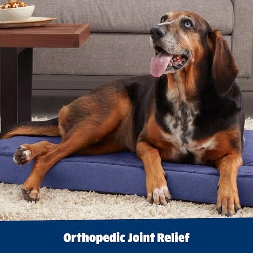 BarkBox Orthopedic Dog Bed - Medium