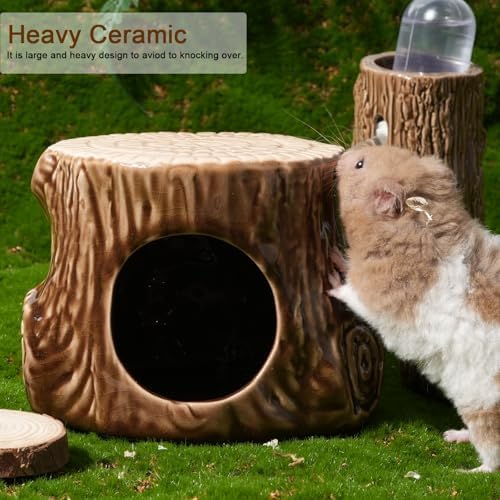 Ceramic Hamster Hideout Tree Chew Proof Syrian Hide Cool Bed Large