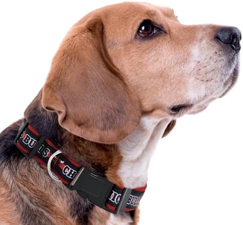 NEW & Improved Pets First NBA PET Collar Chicago Bulls Dog Collar, Size Large Basketball Team Collar for Dogs & Cats. A Shiny & Colorful Dog & Cat Collar Licensed by the NBA