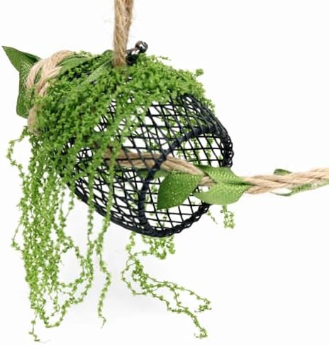 5Pcs Jumping Spider Enclosure Accessories with Hammock, Magnetic Climbing Rope, Resting Ledge Platforms and Feeding Dish Bowl & Hook for Terrarium Habitat (5Pcs Combination Kit)
