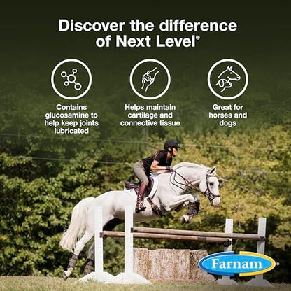 Farnam Next Level Joint Supplement for Horses & Dogs, Helps Maintain Connective Tissue to Ease Stiffness Due to Daily Activity, Joint Supplement for Dogs and Horses, 16 oz, 16-Day Supplyx