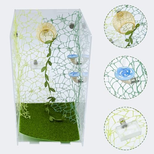Jumping Spider Enclosure Accessories Set, 6 Pack with Carved Habitat Hideout, 2 Climbing Web, 2 Mushroom Decor, 1 Feeder