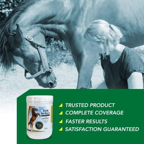 Ramard Total Gut Health Equine Digestive Support - Equine Gut Health Supplement Probiotics for Horses, Healthy Gut Vitamins, Gastric Relief, Optimum Digestive Health for Horses 1.12lb, 30-Day Supply