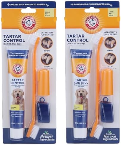 Arm & Hammer Tartar Control Dog Dental Kit, Banana Mint, 3-Piece, 2-Pack