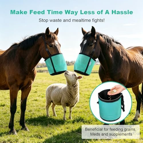 Horse Feed Bags for Grain, Breathable Muzzle Feed Bags for Horses, Universal Mesh Feedbag for Feeding Grain, Anti-Spill Design Feeder, Durable Nose Bag with Solid Bottom (Mint)