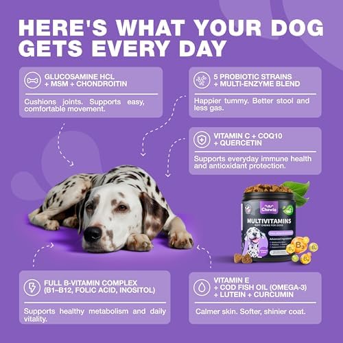Dog Multivitamin Chews – 15 in 1 Vitamins for Hip & Joint, Immune and Skin