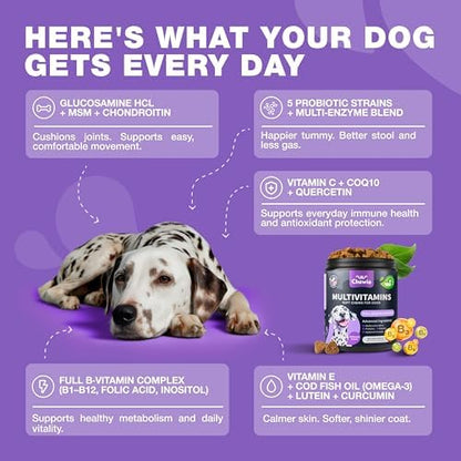 Dog Multivitamin Chews – 15 in 1 Vitamins for Hip & Joint, Immune and Skin