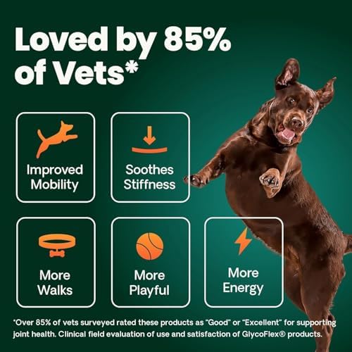 VetriScience Extra Strength Healthy Hip and Joint Tablets for Dogs, 2 Pack