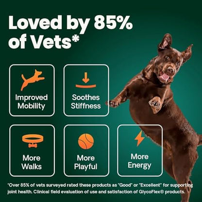 VetriScience Extra Strength Healthy Hip and Joint Tablets for Dogs, 2 Pack