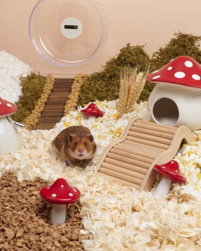 Niteangel Hamster Chew & Decor Toys: Pack of 2 Mushroom-Shape & Beech Wood