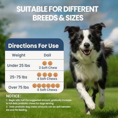 Probiotics for Dogs, Dog Probiotics Chews for Digestive Health &Gut Health