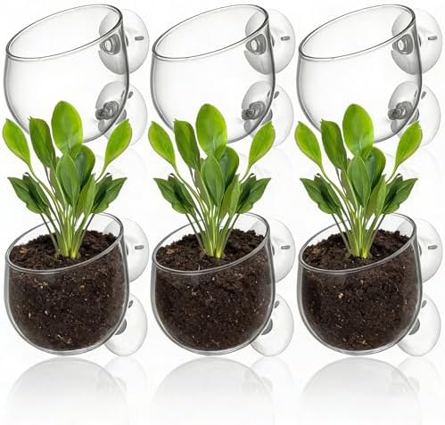 Hiceeden 6 Pcs Aquatic Plant Holder, Glass Aquarium Plant Pot with Suction Cup, Red Worm Cups Fish Feeder for Fish Tank Aquascape Decoration