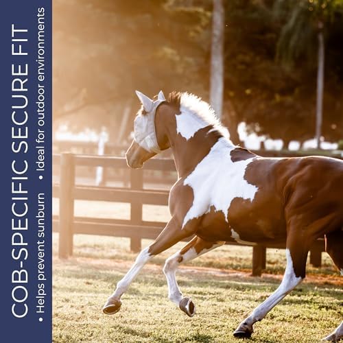 Cob Fly Mask with Ears, UV Protection, Breathable Mesh
