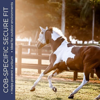 Cob Fly Mask with Ears, UV Protection, Breathable Mesh