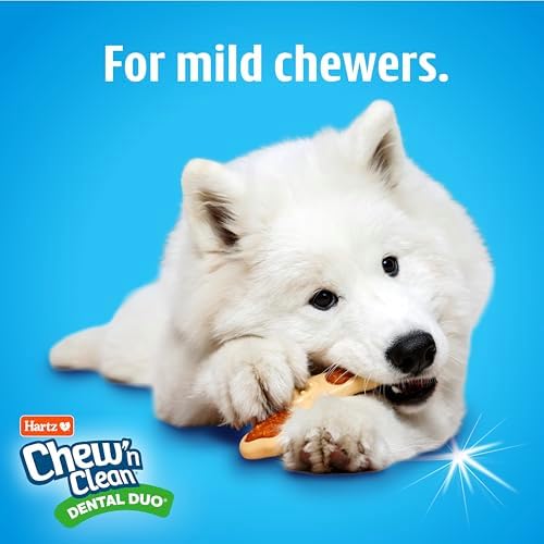 Hartz Chew ‘n Clean Chew Toy and Treat in One Chicken Flavored Tri-Point Dog Toy, Medium