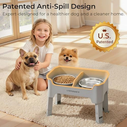 URPOWER Mess Proof Elevated Dog Bowls for Small Dogs with Splash Guard