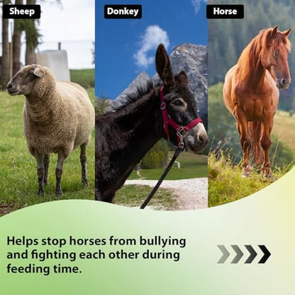 Heavy Duty Durable Waterproof Horse Feed Bag with Adjustable Strap
