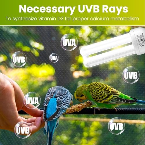 GlowUp 2.4% UVB Bulb for Birds, 20W Compact Fluorescent Light Bulb UVA UVB Light Bulbs E26 for Captive Birds and Reptiles