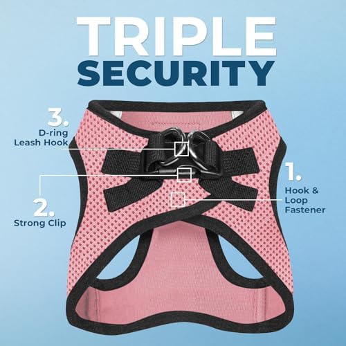 Best Pet Supplies Voyager Step-in Air All Weather Mesh Harness and Reflective Dog 5ft Leash Combo with Neoprene Handle, for Small, Medium and Large Breed Puppies - Pink Base, Small